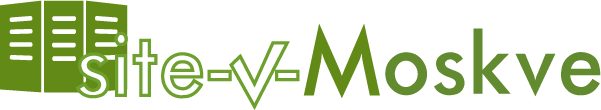 VTEM Logo